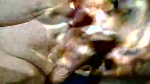 ghost1805 online show from 10.29.25