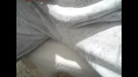 gifi1 online show from 02.21.26