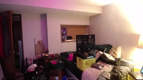 ginger_binj online show from 10.08.25