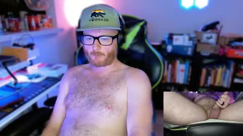 Ginger Cub online show from 11.11.25