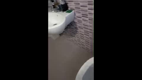 Snapshot of giorgidario86 chatting on 06.01.26 giorgidario86 online show from 06.01.26