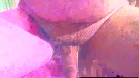 girafsnoop online show from 12.01.25