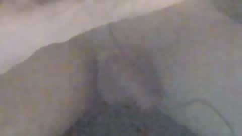 lovegirlscallme online show from 01.12.26