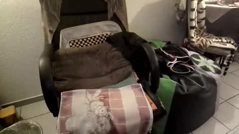 Snapshot of gjslave chatting on 09.11.25 gjslave online show from 09.11.25