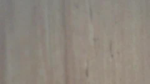 Glyder online show from 02.07.25