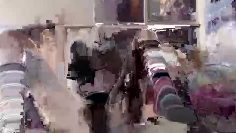 black  white online show from 03.24.26