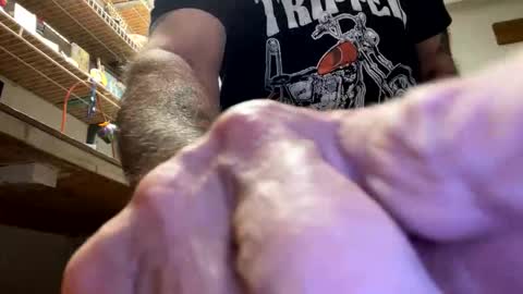 gngnxxx online show from 10.23.25