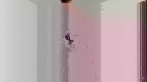 goblue4133 online show from 12.25.24