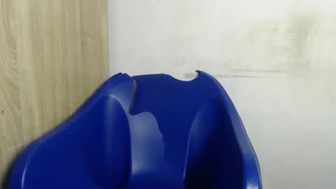 Snapshot of goddess_mellissa chatting on 04.02.26 mellissa online show from 04.02.26