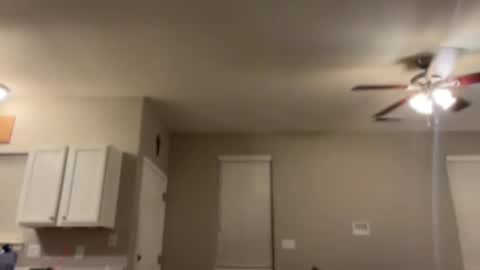 Princess Miila  BBC Daddy online show from 01.06.25