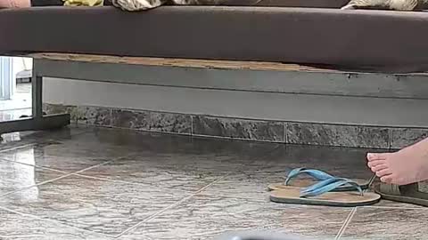 goddesshannahfeet_ online show from 04.13.26