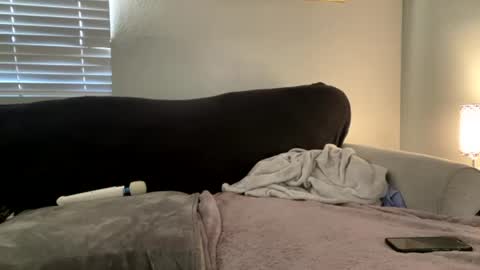 Snapshot of goddessmayvn chatting on 07.02.26 GoddessMayvn online show from 07.02.26