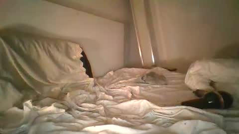 godonsin online show from 12.17.24