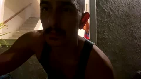 gofoxgo40 online show from 10.11.25