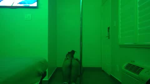 Snapshot of gogetter4life213 chatting on 02.02.25 gogetter4life213 online show from 02.02.25