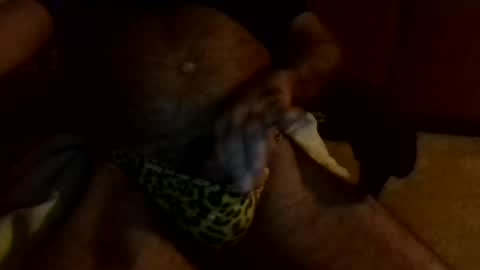 Snapshot of gojo885 chatting on 01.13.25 gojo885 online show from 01.13.25