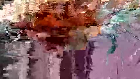 Snapshot of gonadalache chatting on 11.17.25 gonadalache online show from 11.17.25