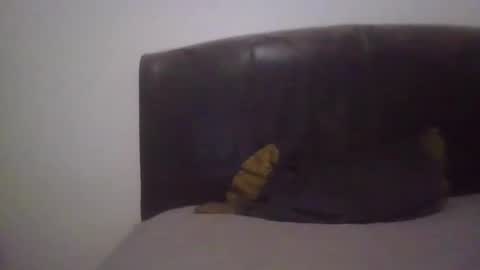 goodcock12345 online show from 02.19.25