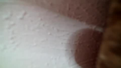 Snapshot of goodgirl4daddy69 chatting on 07.24.26 Greedy Good Girl online show from 07.24.26
