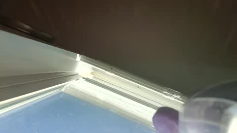 goosetrucker982440 online show from 09.30.25