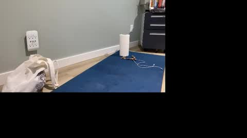 GoshLover online show from 11.04.25