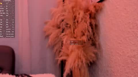 Snapshot of gracehall chatting on 11.04.25 Grace online show from 11.04.25