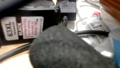 Greg online show from 06.30.26