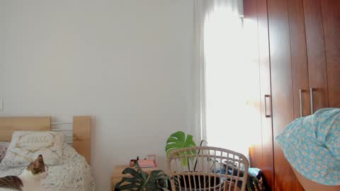 Snapshot of grettabenett_ chatting on 12.11.24 Gretta online show from 12.11.24