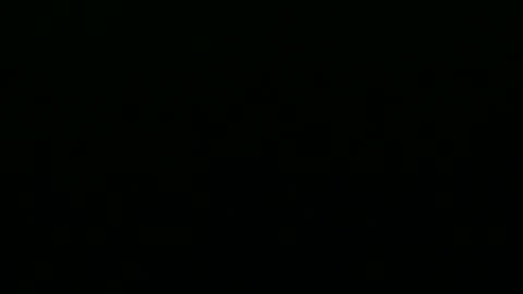 greyfox_6000 online show from 02.25.25