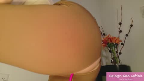gringo_xxx_latina online show from 11.20.25