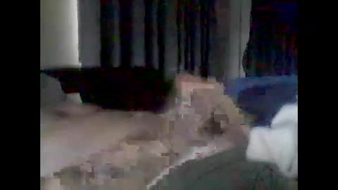 Snapshot of grittslappa chatting on 02.17.26 grittslappa online show from 02.17.26