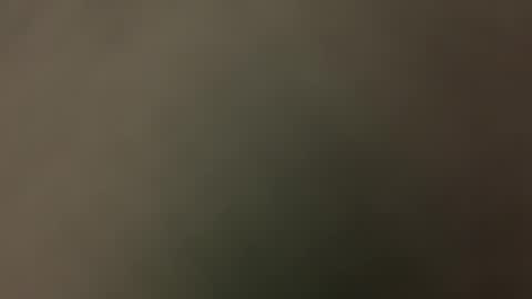 Snapshot of gstring699 chatting on 04.11.26 gstring699 online show from 04.11.26