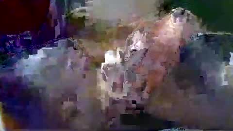 Gary online show from 01.18.26