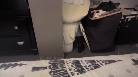 gumbywanna online show from 12.20.24