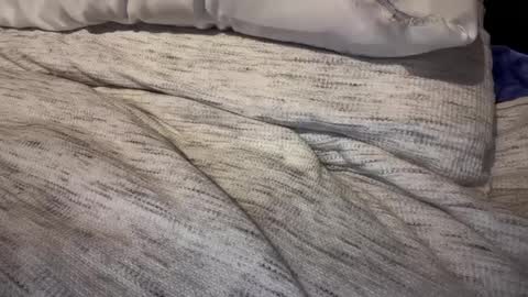 gumbywanna online show from 02.09.25