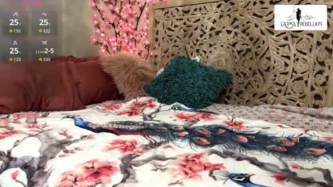 Snapshot of gypsy_rebellion chatting on 11.24.25 Gypsy online show from 11.24.25