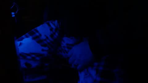 H2omygod online show from 01.25.25