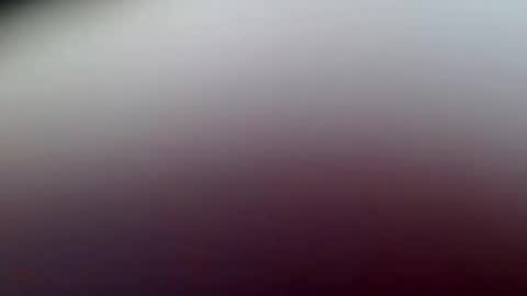 habitus1 online show from 02.13.25