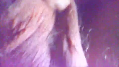 hagridthehorrible online show from 12.05.25