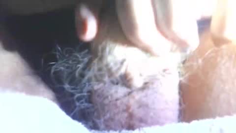 hagridthehorrible online show from 01.11.26