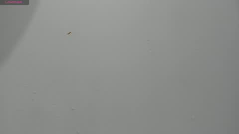 Hailey online show from 04.02.26