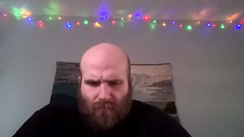 Hairiest Bear online show from 12.12.24