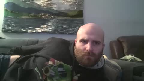 Hairiest Bear online show from 12.21.24