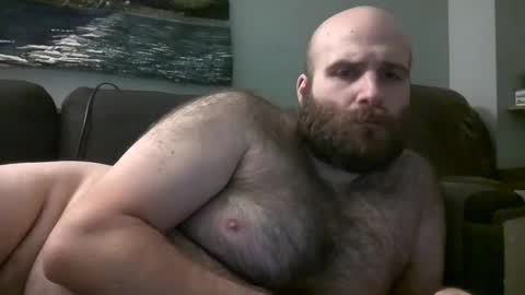 Hairiest Bear online show from 02.09.25