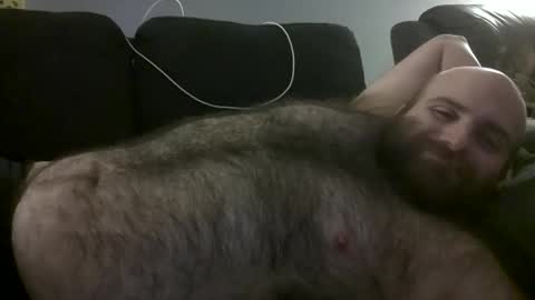 Hairiest Bear online show from 10.02.25