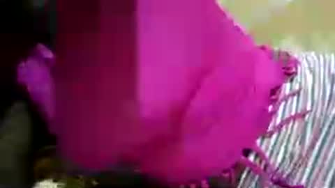 Snapshot of hairy_africanbae chatting on 07.12.26 hairy_africanbae online show from 07.12.26