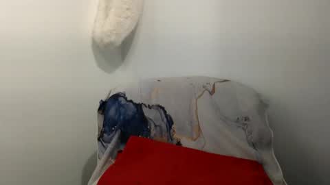 Snapshot of hairytonkas chatting on 01.08.25 HairyTonkas online show from 01.08.25