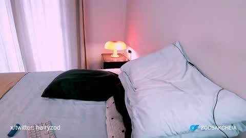 Zod Bakcheia online show from 12.31.24