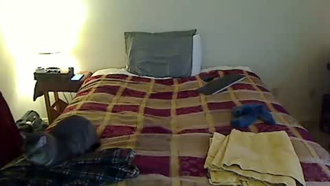 Snapshot of hammerthatthang73 chatting on 03.24.26 hammerthatthang73 online show from 03.24.26