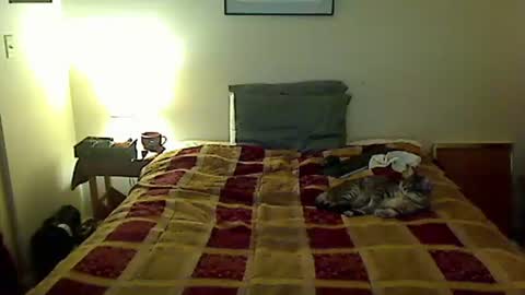 Snapshot of hammerthatthang73 chatting on 04.04.26 hammerthatthang73 online show from 04.04.26